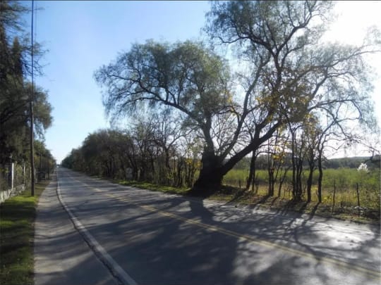 Vendo Campo “Villa de las Rosas”