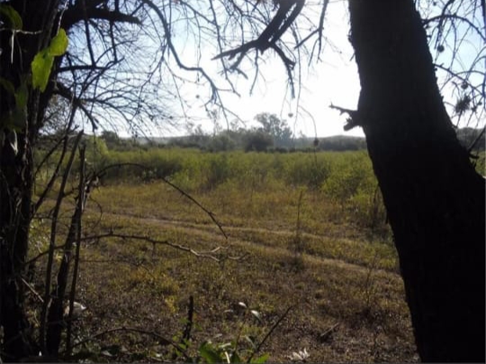 Vendo Campo “Villa de las Rosas”