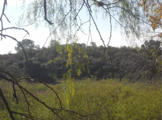 Vendo Campo “Villa de las Rosas”