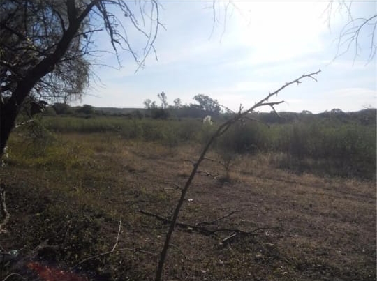 Vendo Campo “Villa de las Rosas”