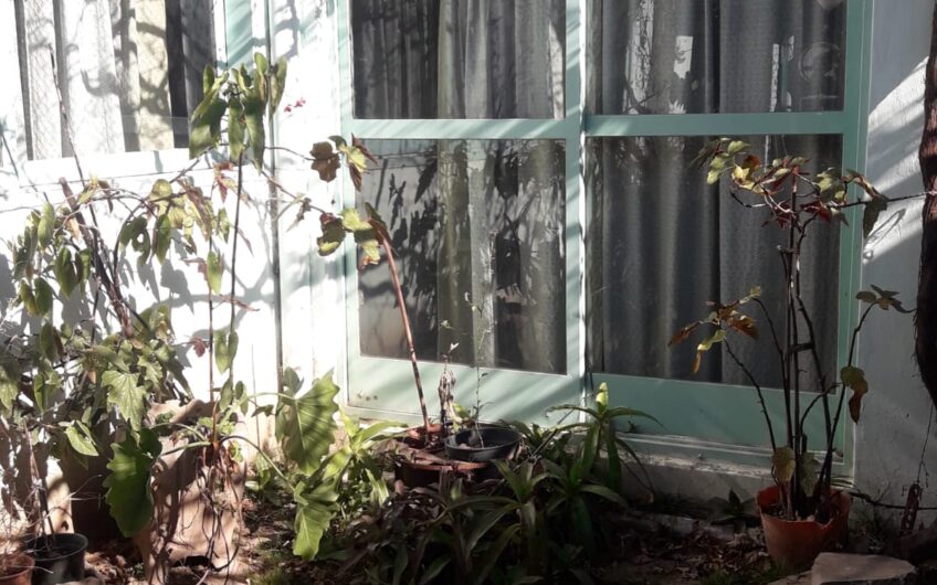 VENDO CASA B° RIVADAVIA