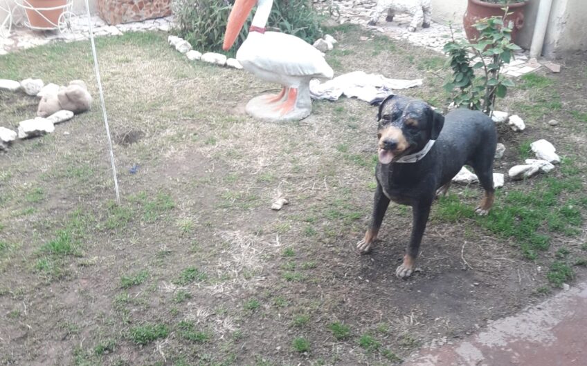 VENDO CASA 2 DORM B° SAN CAYETANO