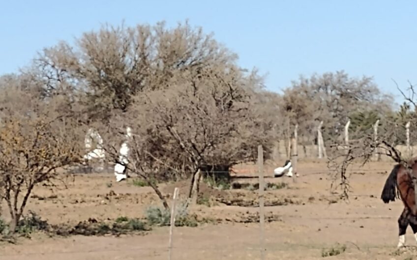 VENDO TERRENO B° LA MELINCA (SANTA ANA)