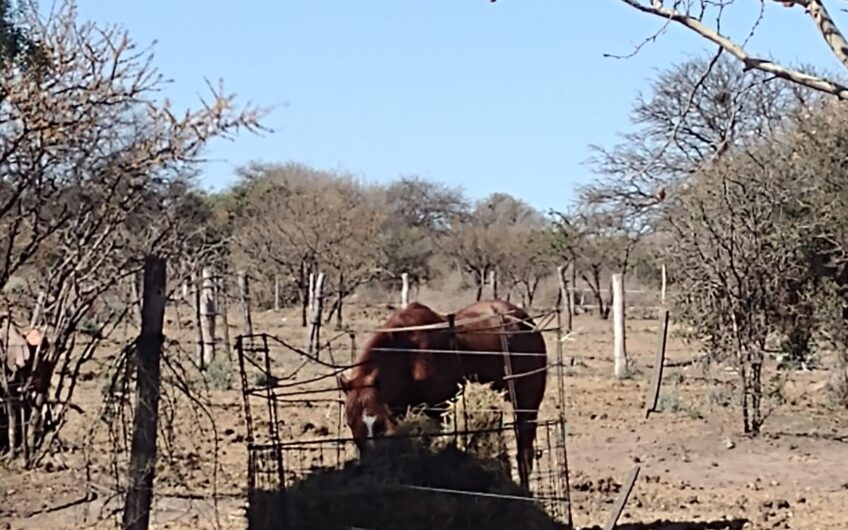 VENDO TERRENO B° LA MELINCA (SANTA ANA)