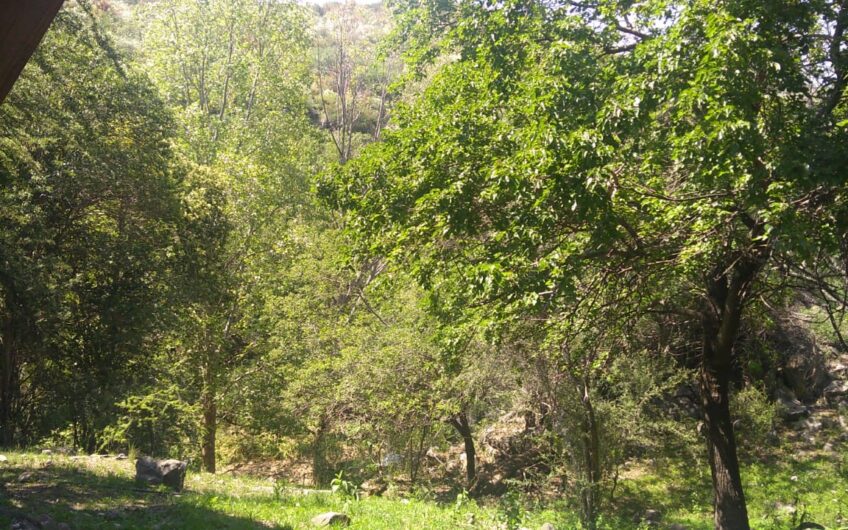 Vendo Cabaña 3 Dorm. Camino Pan de Azucar