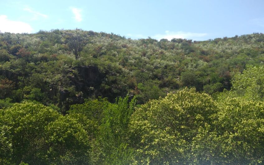 Vendo Cabaña 3 Dorm. Camino Pan de Azucar