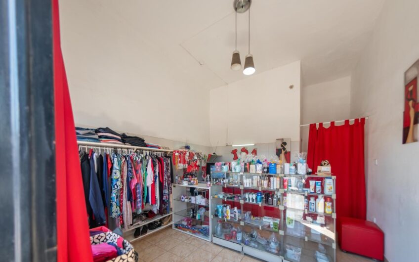 Vendo Casa 2 Dorm. + 2 Locales B° Mirador.